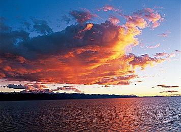 《恐龙猎人3：湮灭之影重制版》11月14日发售